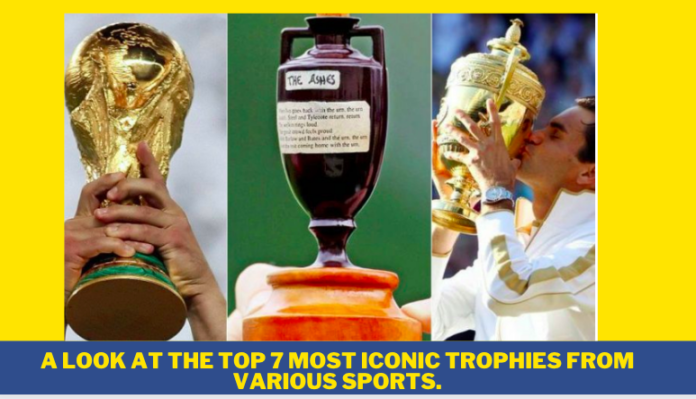 A look at the Top 7 most iconic trophies from various sports.